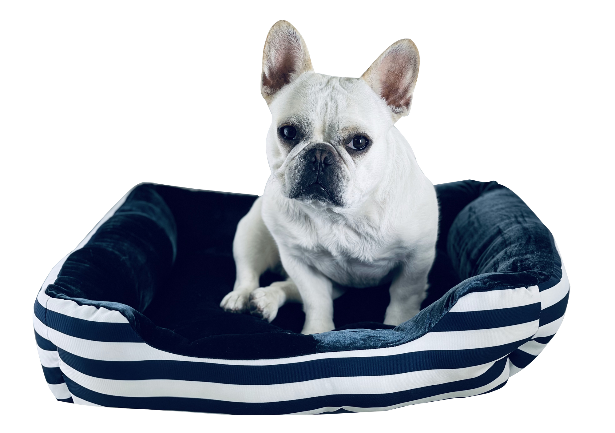 Cozy Cotton Dog Bed - Primeware Inc.