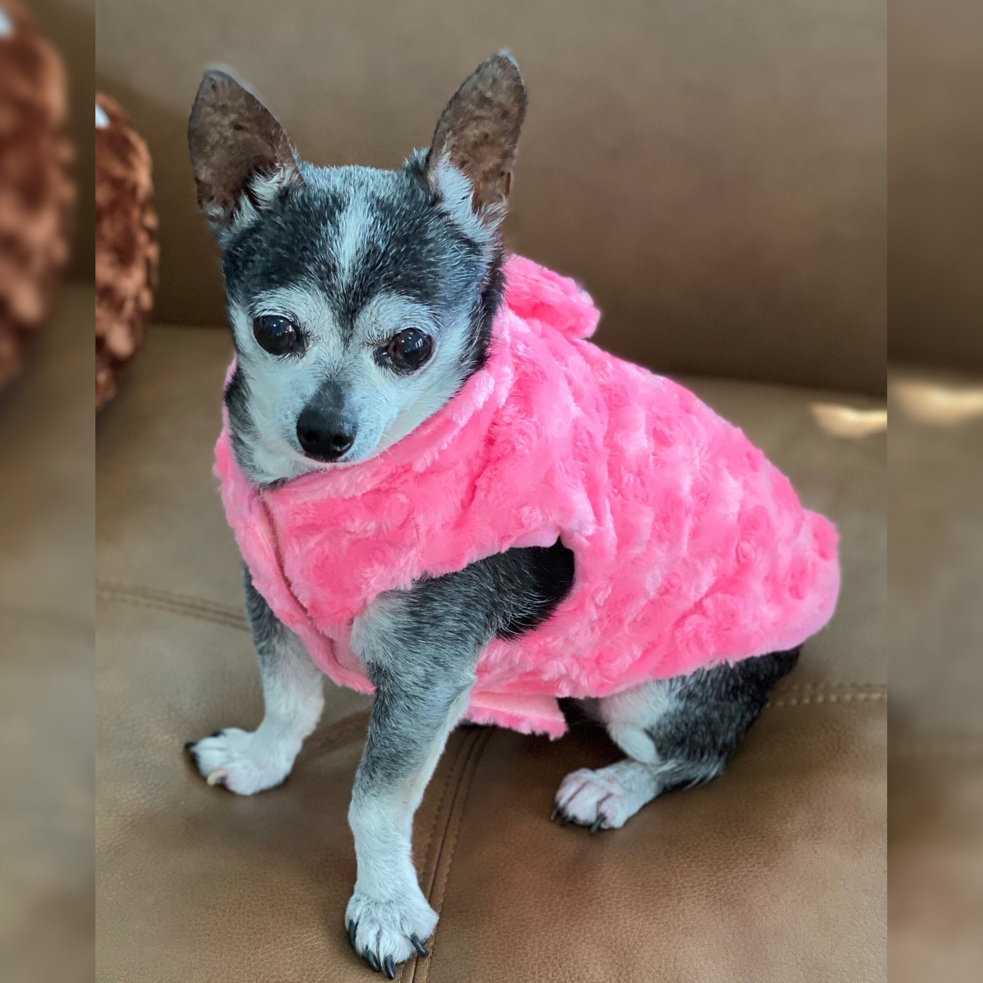 Pink Faux Fur Chewy V Winter Dog Coat, Petiboo